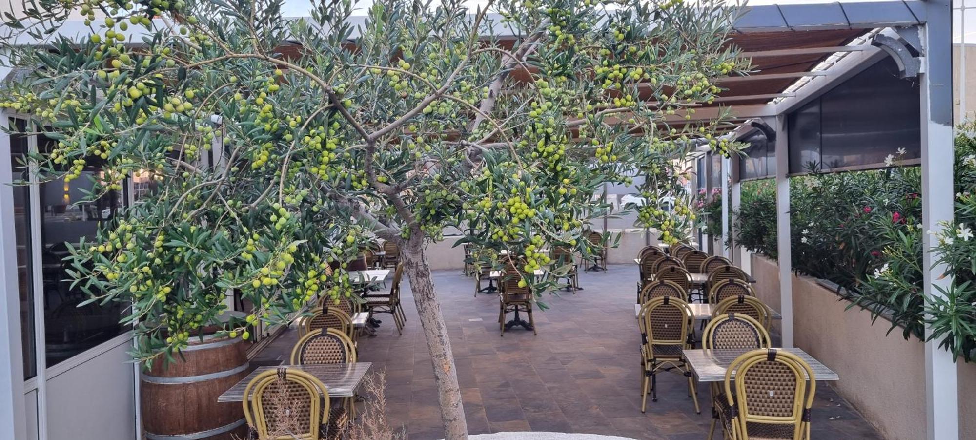 Hotel Restaurant Calypso فوس-سور-مير المظهر الخارجي الصورة